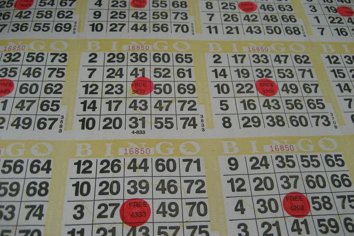 Jili VIP Bingo 75-Ball hall walkthrough — ₱100 cards, ₱500k Friday progressive