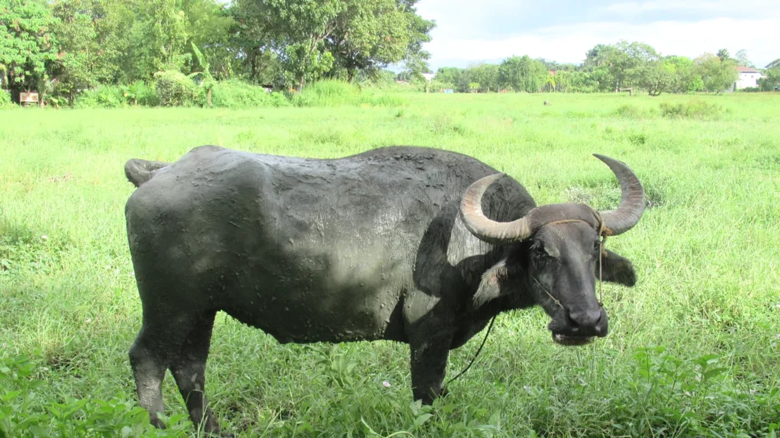 Thưởng Nạp Lại Hàng Tuần Fun88 – Điều Kiện và Cách Nhận 2026
